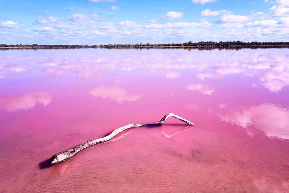 Pink Lake