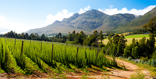 Motorhome hire George