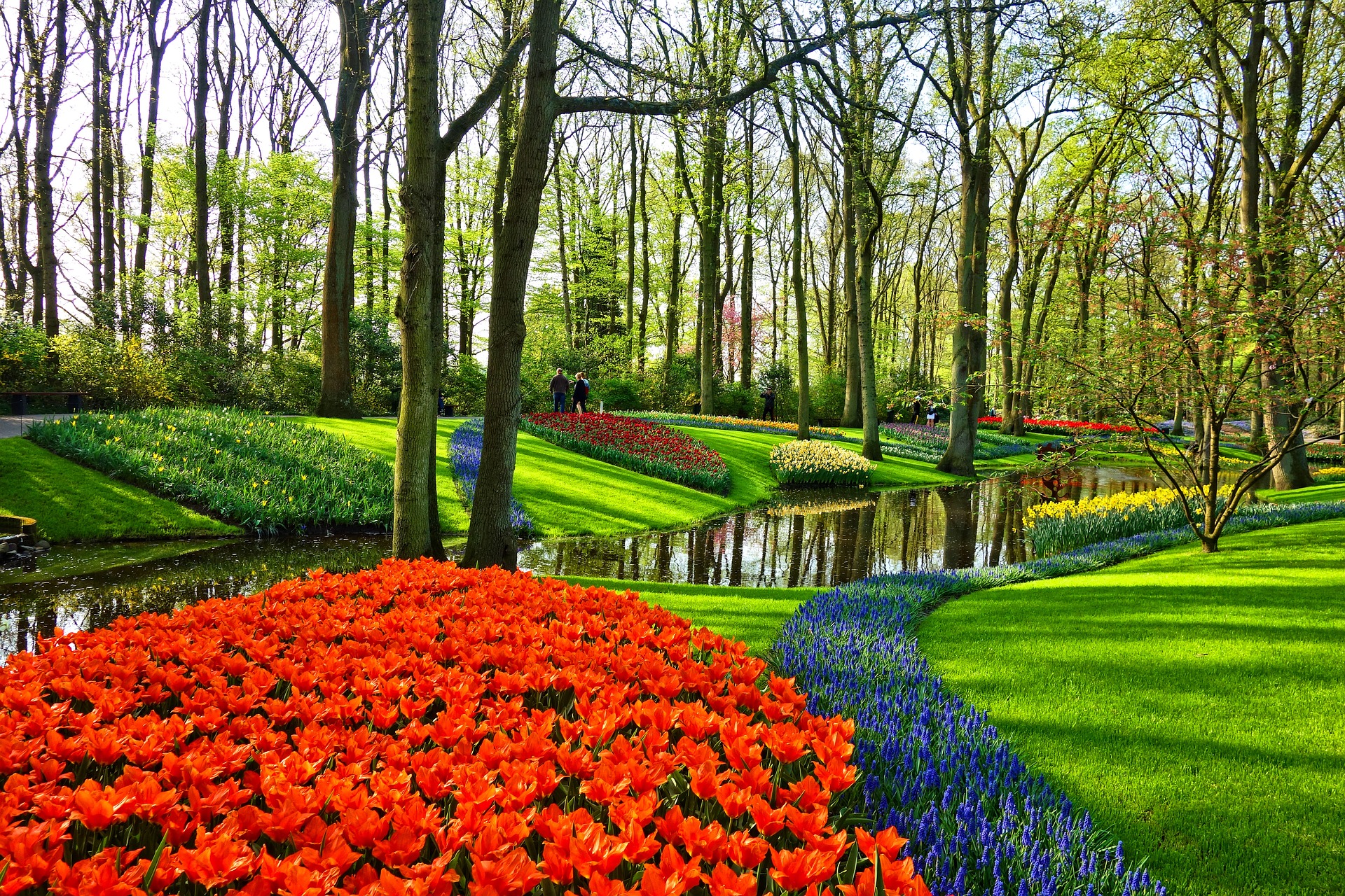 Keukenhof Gardens - Netherlands