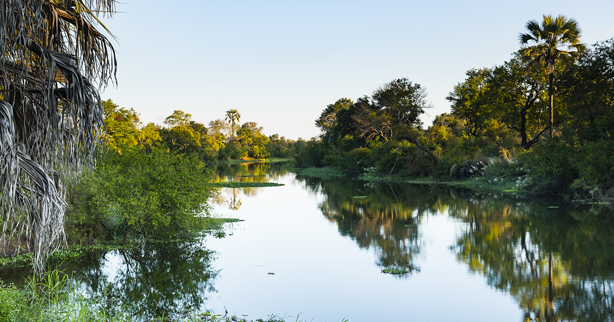 Campervan hire Livingstone