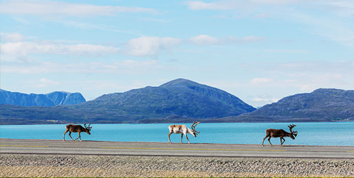 Motorhome hire Rovaniemi