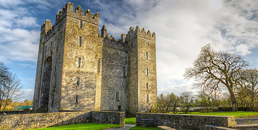 Motorhome hire Shannon