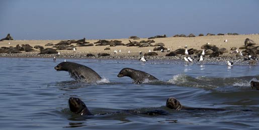 Motorhome hire Walvis Bay