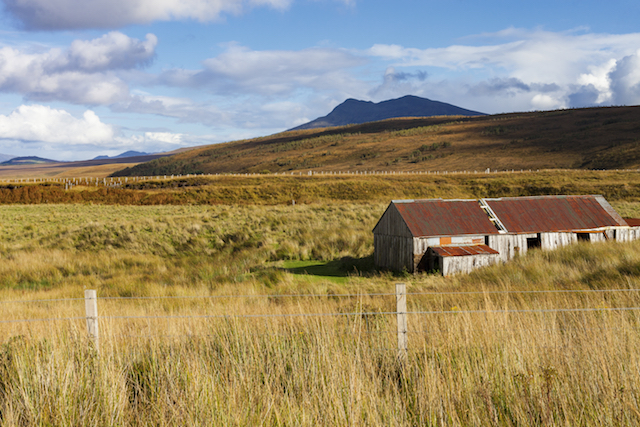 Road trip in West Knockbain & Muckernich Wood  