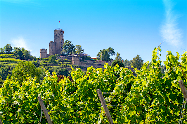 The North of the Wine Road, Germany