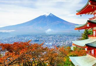 Discover stunnign Japan by car