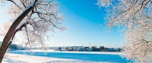 Top Winter Destinations